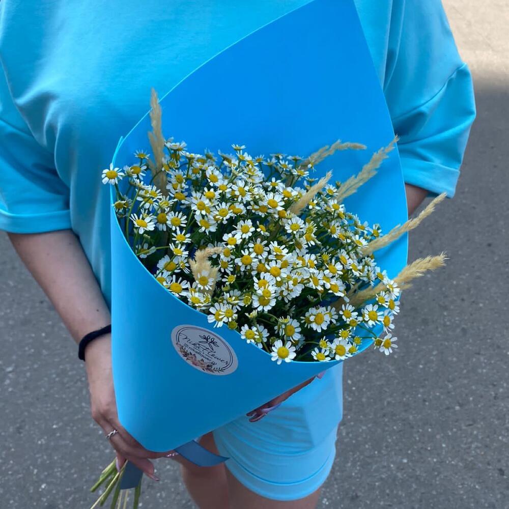Букет Ромашки на лугу