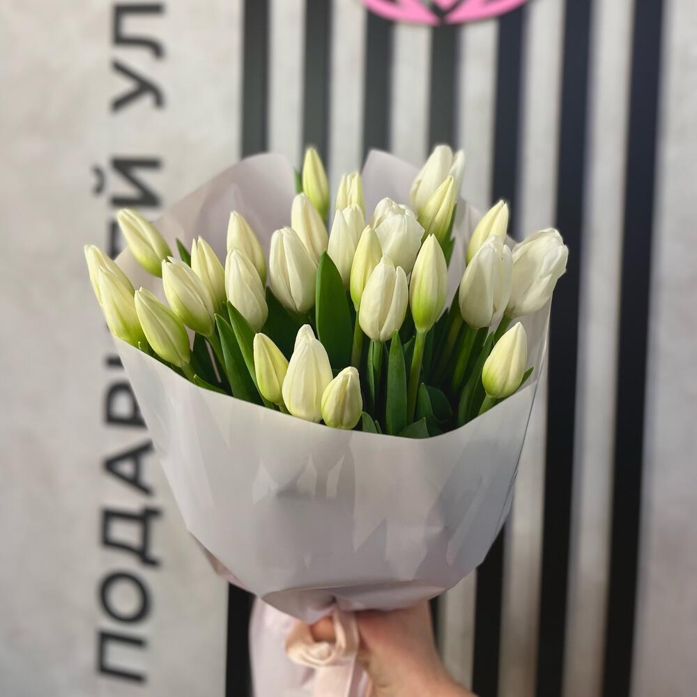 25 белых тюльпанов