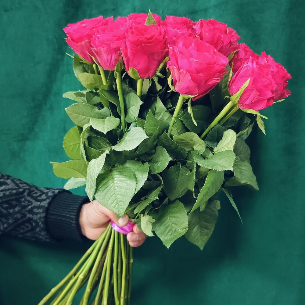 Роза 🌹