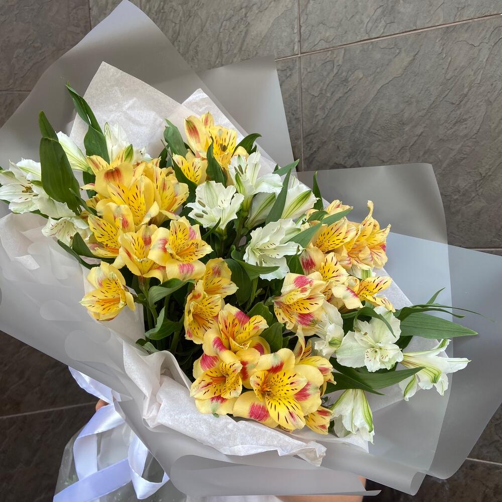Солнечные альстромерии🤍💛
