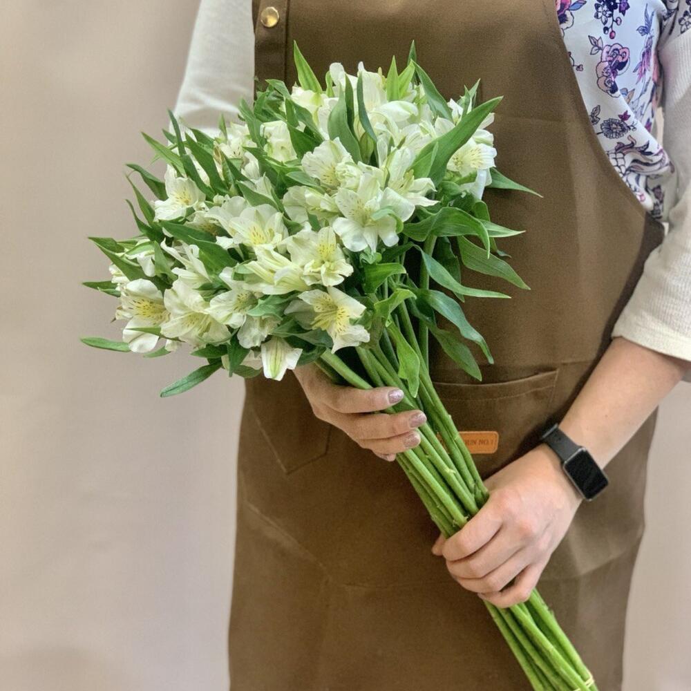 Альстромерия белая