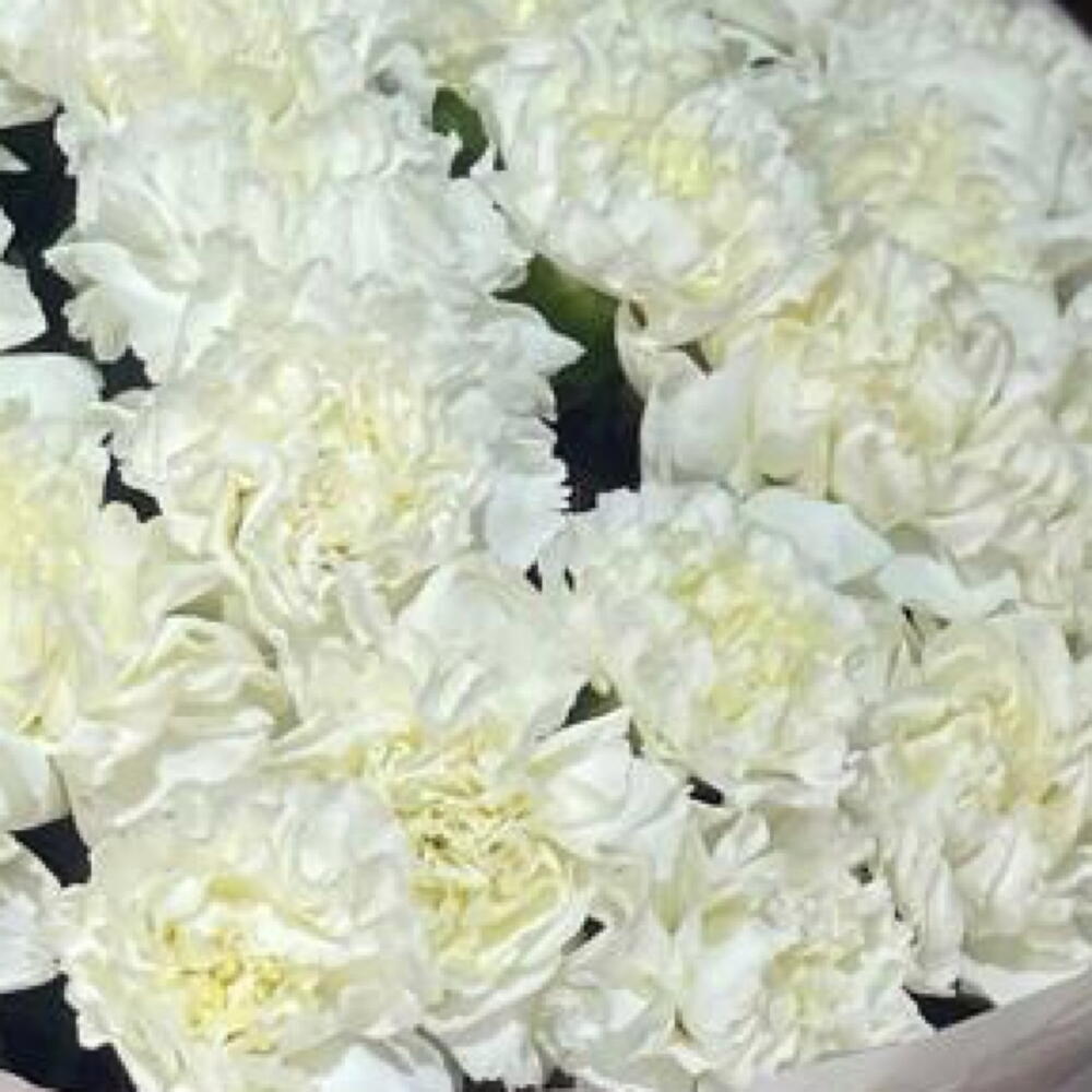 Букет диантус
