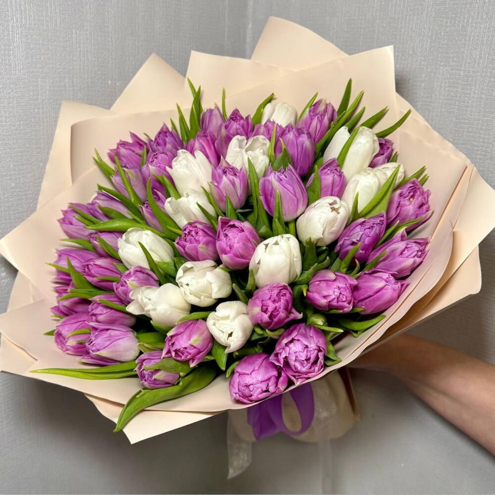 Тюльпаны 🌷