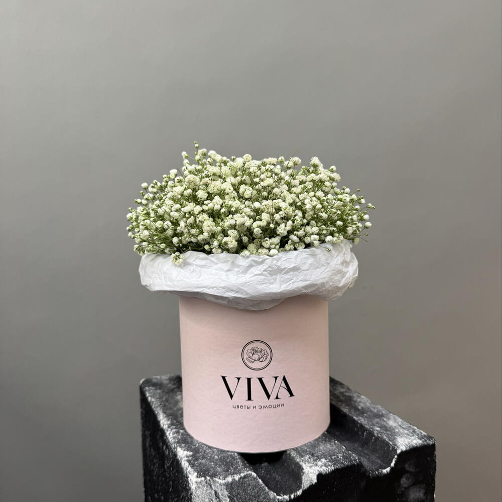Viva Box · Нежное облако