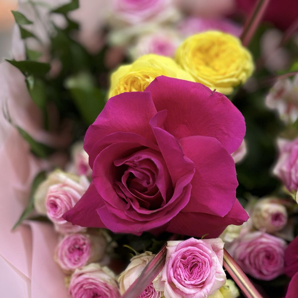 Rose Mth
