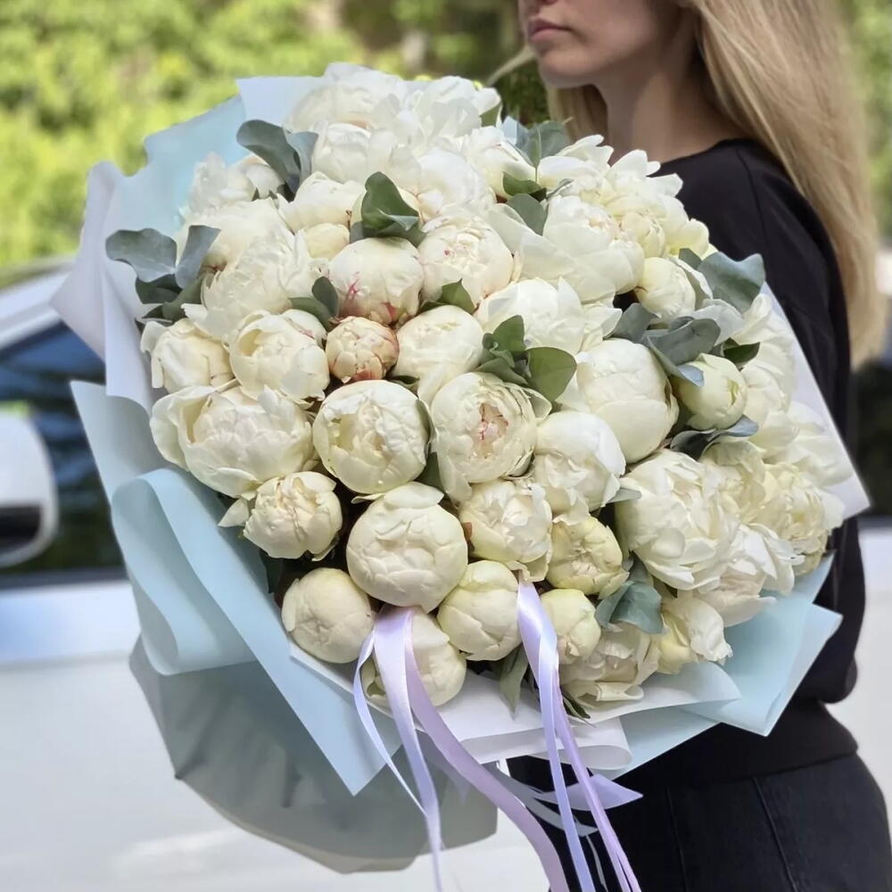 ПИОНОМАНИЯ 🤍51 белый пион 😍Белые пионы