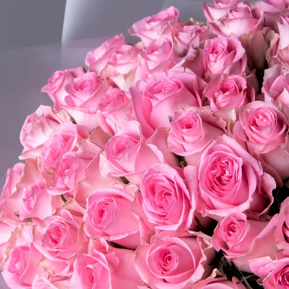 Bouquet "Seleb" of 51 pink roses, 50 cm tall.