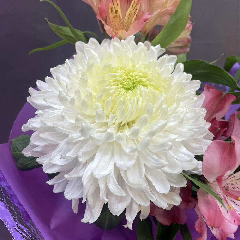 Букет 💐 комплимент