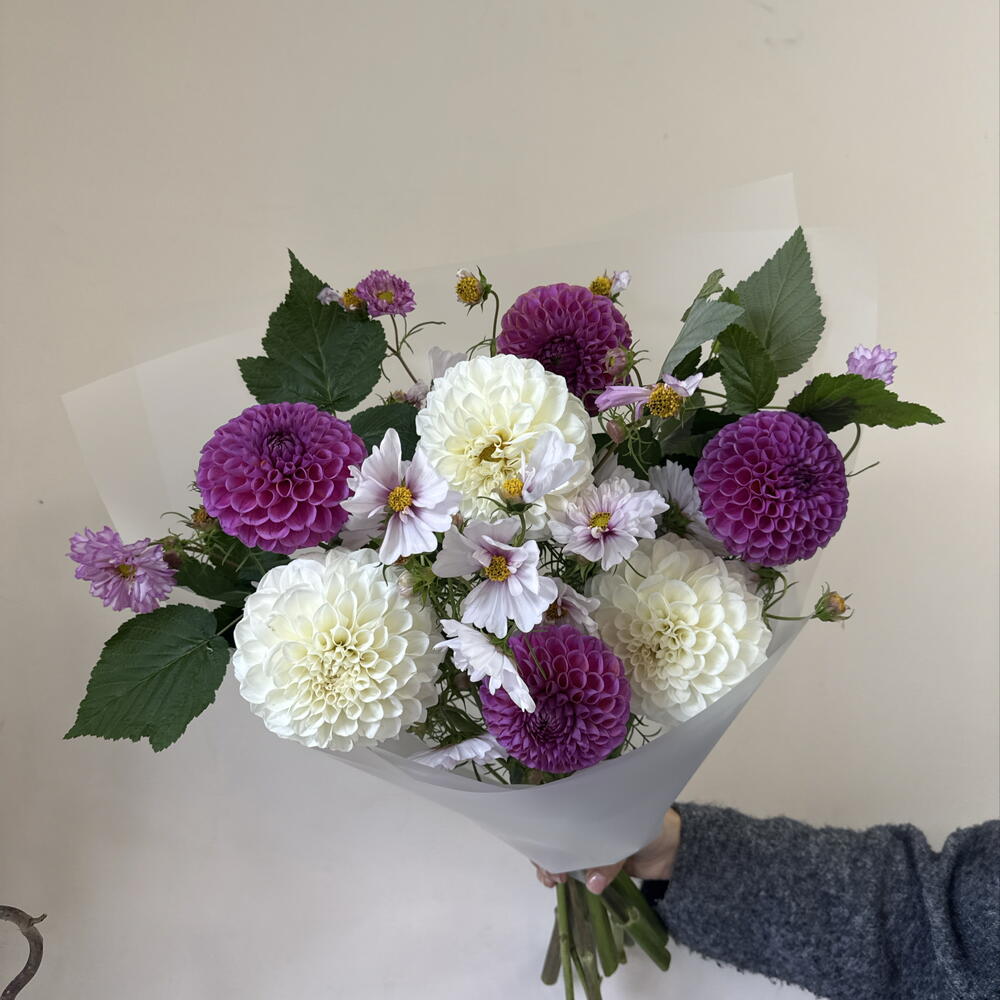 Микс из георгин🤍💜