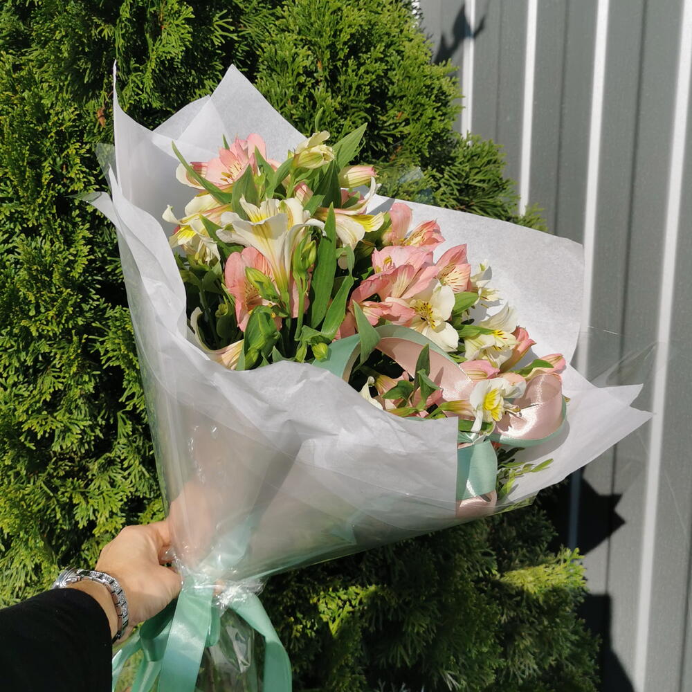 Альстромерия🌸🩷