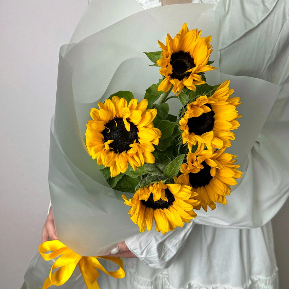 Подсолнухи🌻