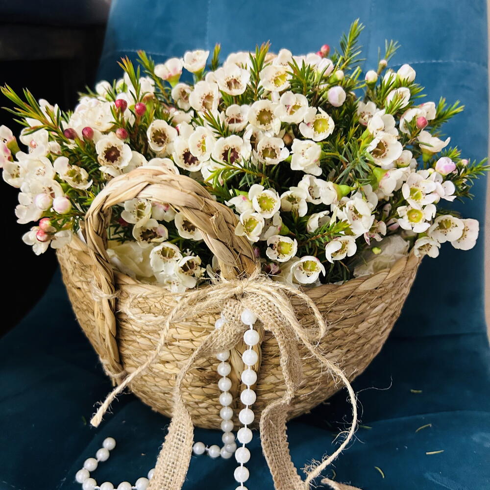 Хамелациум в корзине🌺🌸🌸