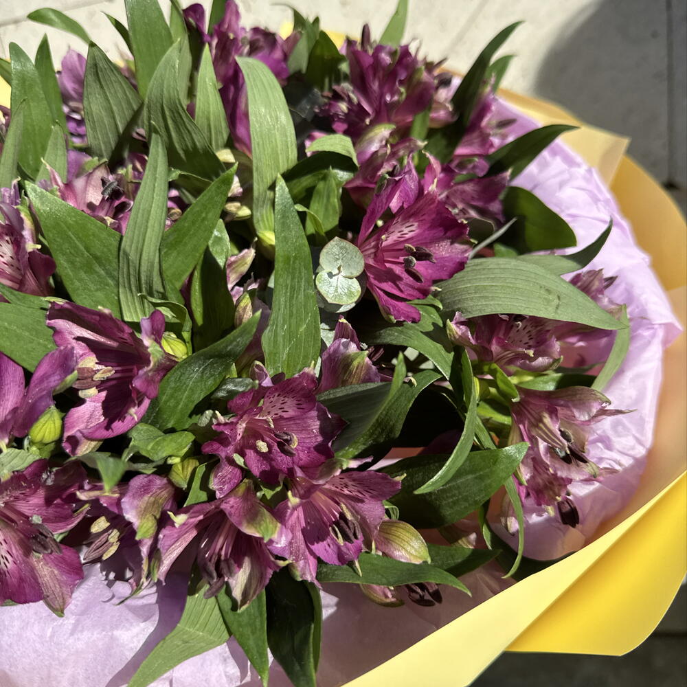 Букет комплимент МОНО альстромерия PURPLE