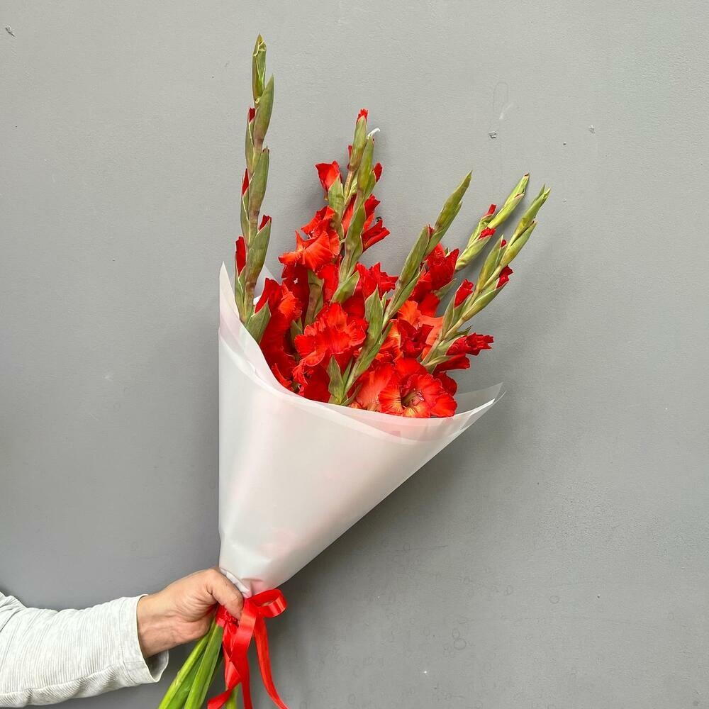 Алые гладиолусы 7 шт 🌹