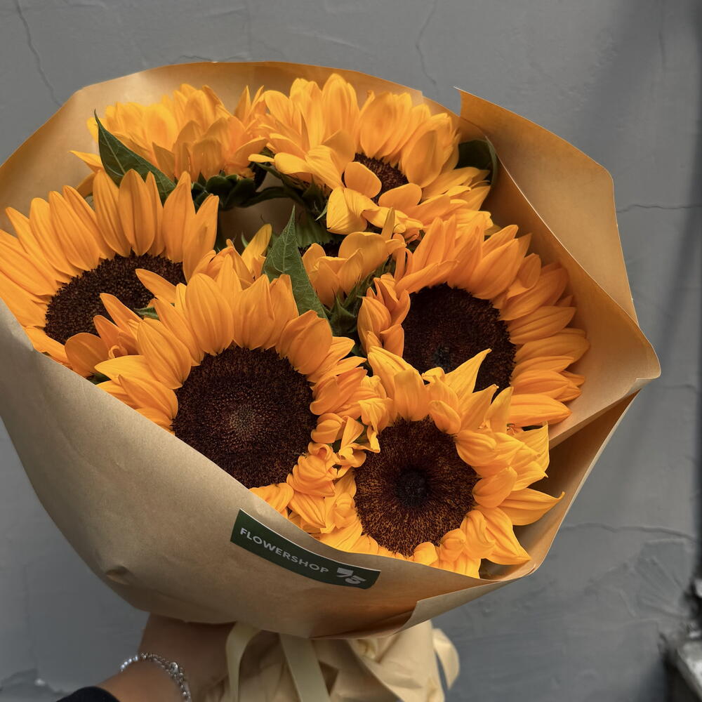 Sunflower season