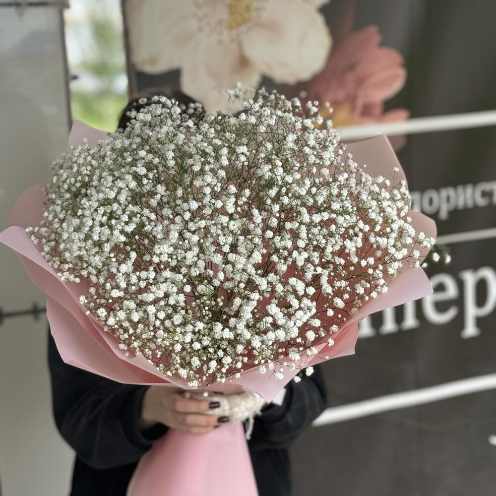 Гипсафила