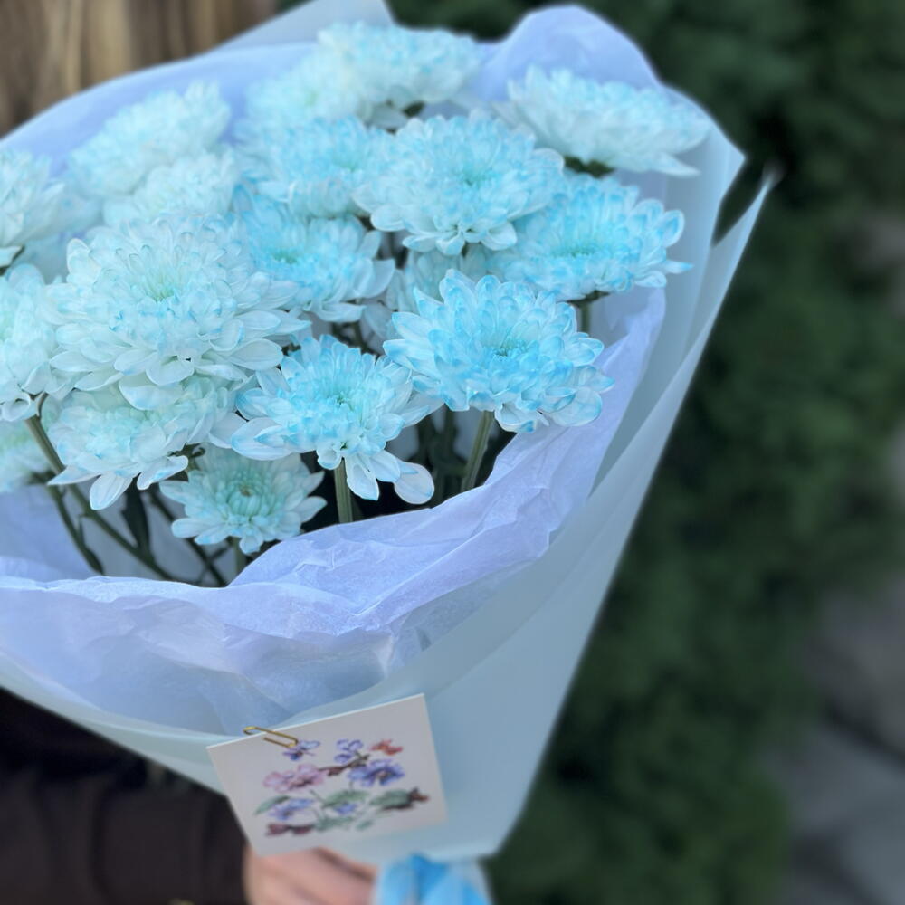 Голубые хризантемы
