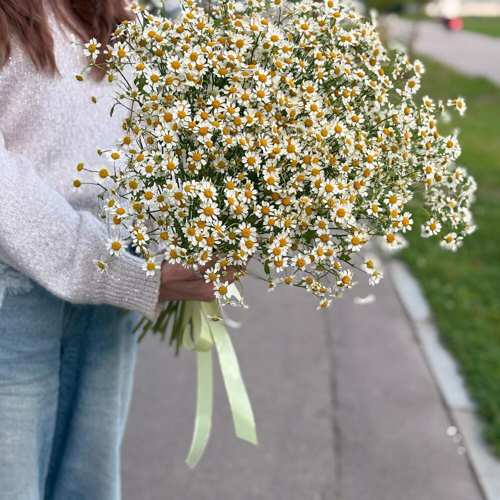 Букет ромашек
