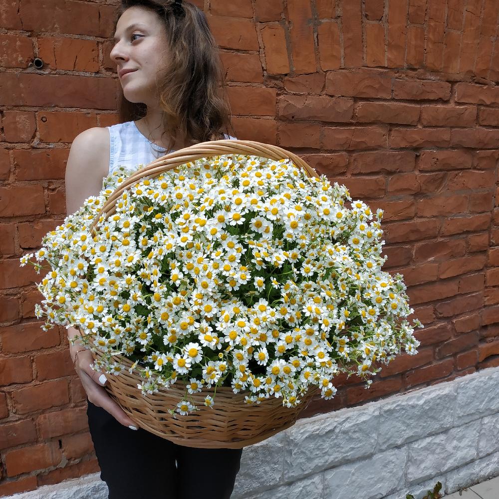 Корзина с ромашками "Корзинка счастья"