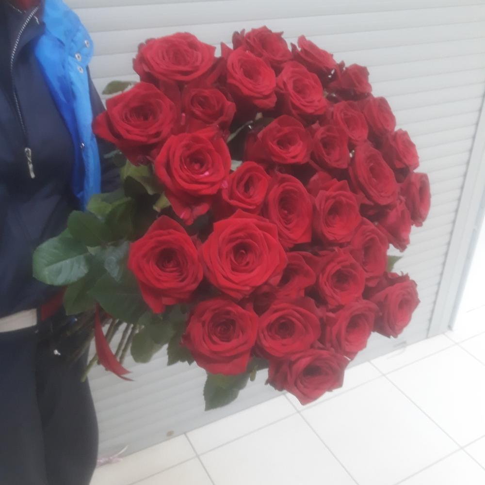 Ред найоми 70см