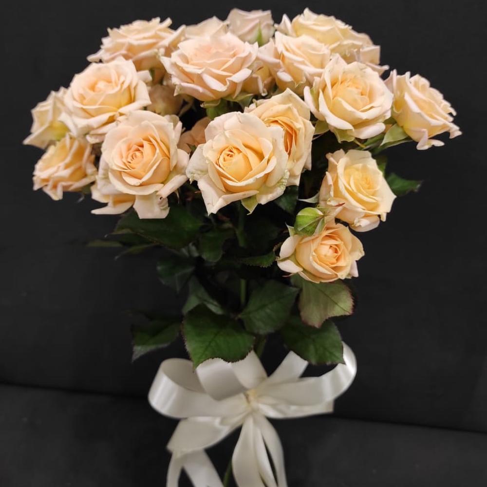 Bush Rose 5