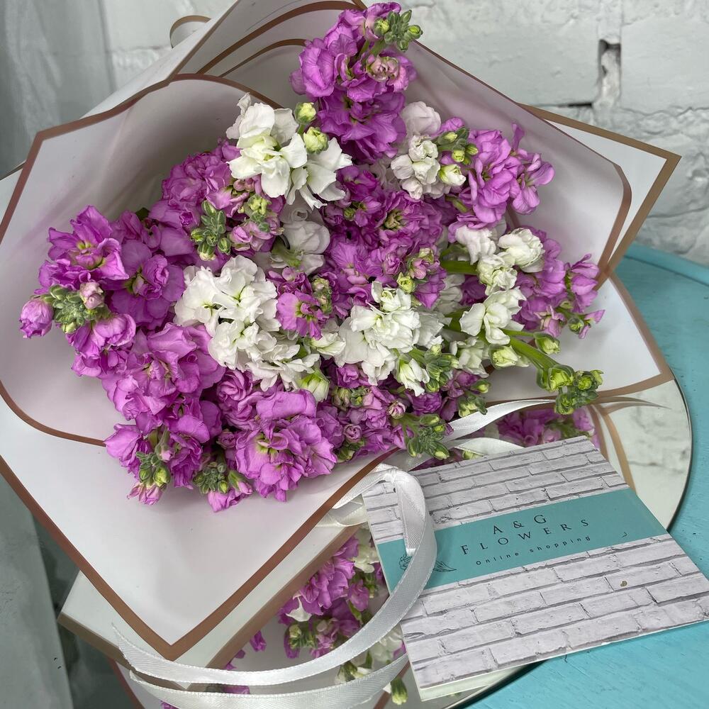 Ароматная матиолла 15 штук
