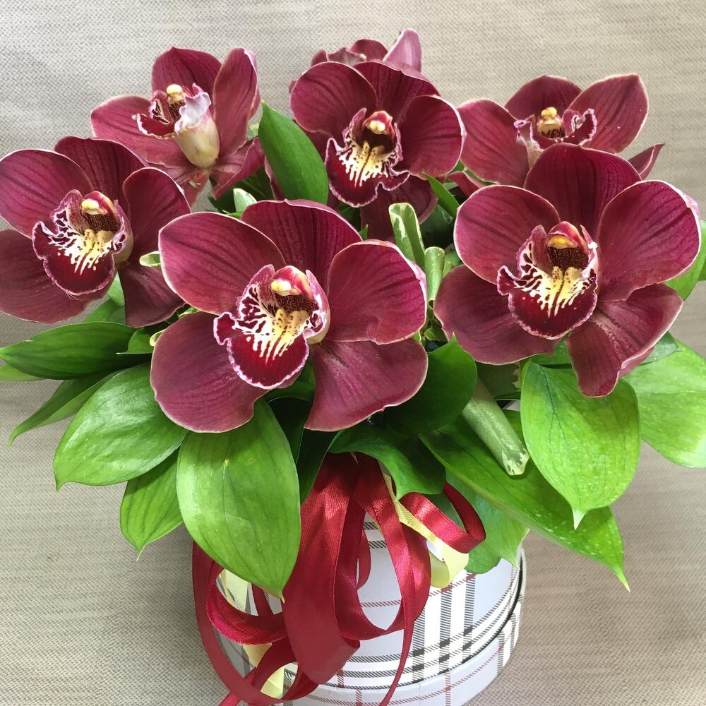С любовью🌹