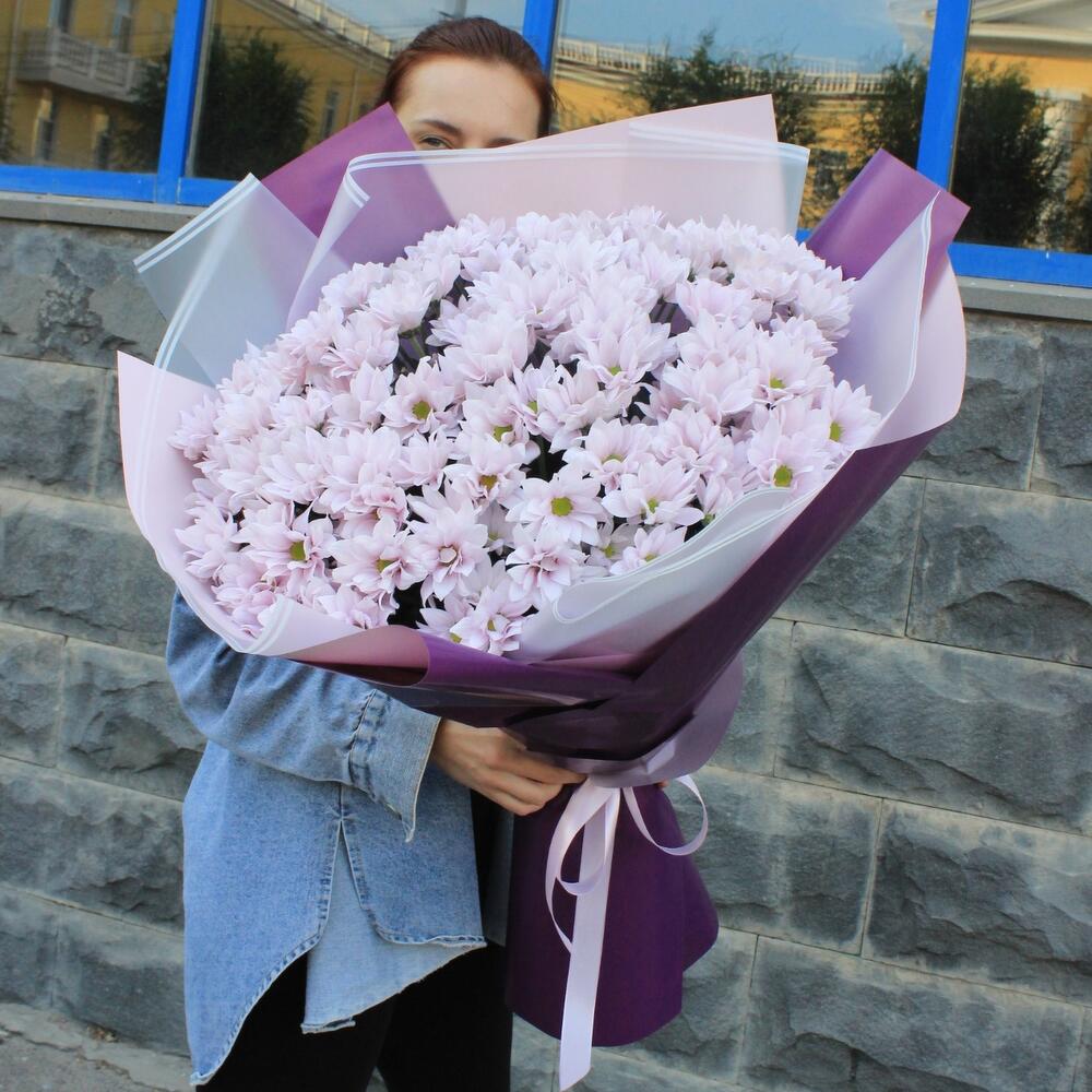 Розовые ромашки