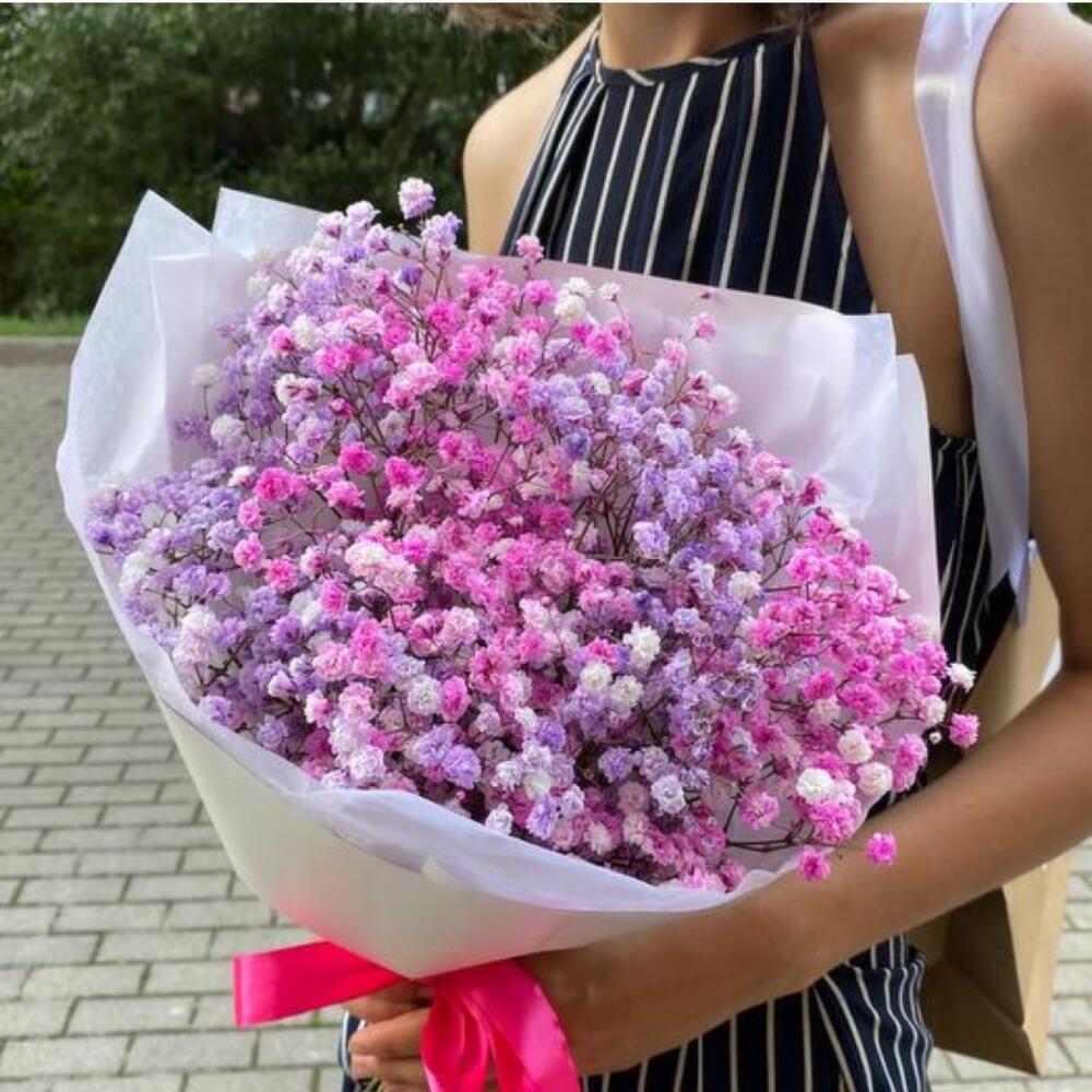 Gypsophila 💕
