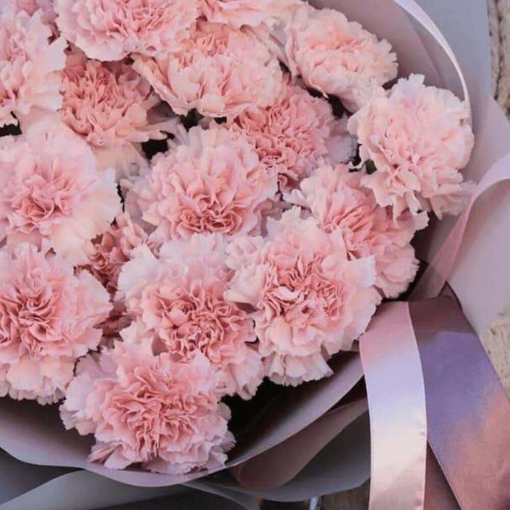 Букет из диантусов💞
