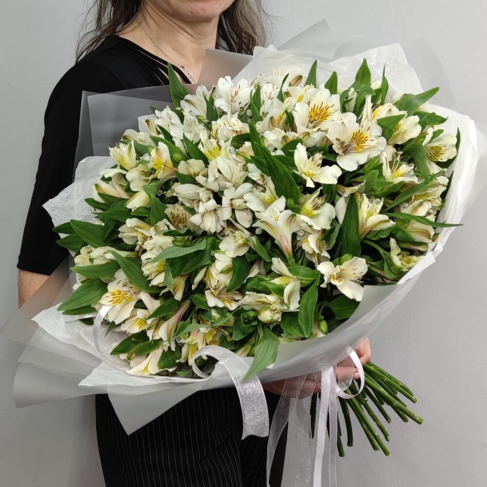 Альстромерия 29шт