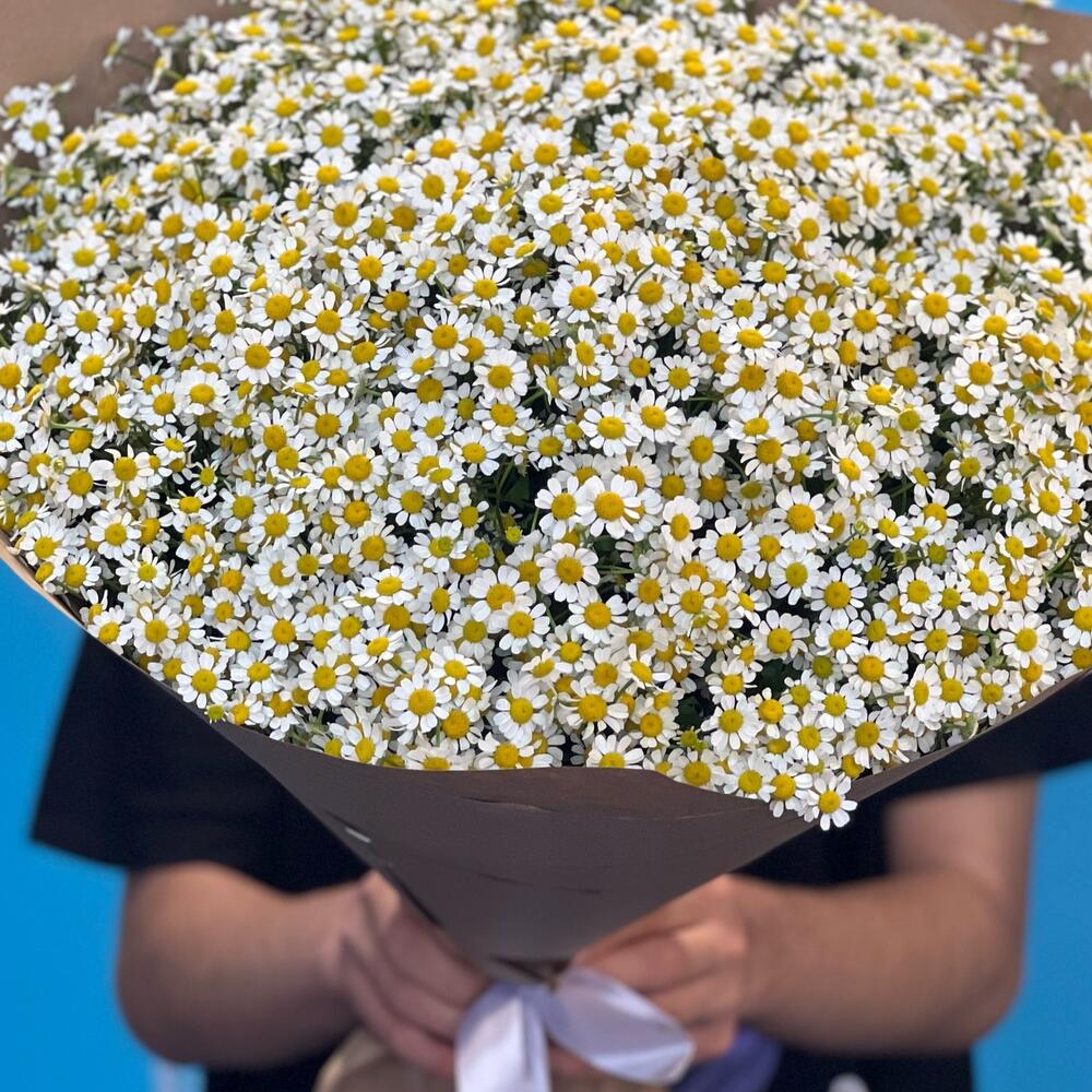 Букет из 51 ромашек