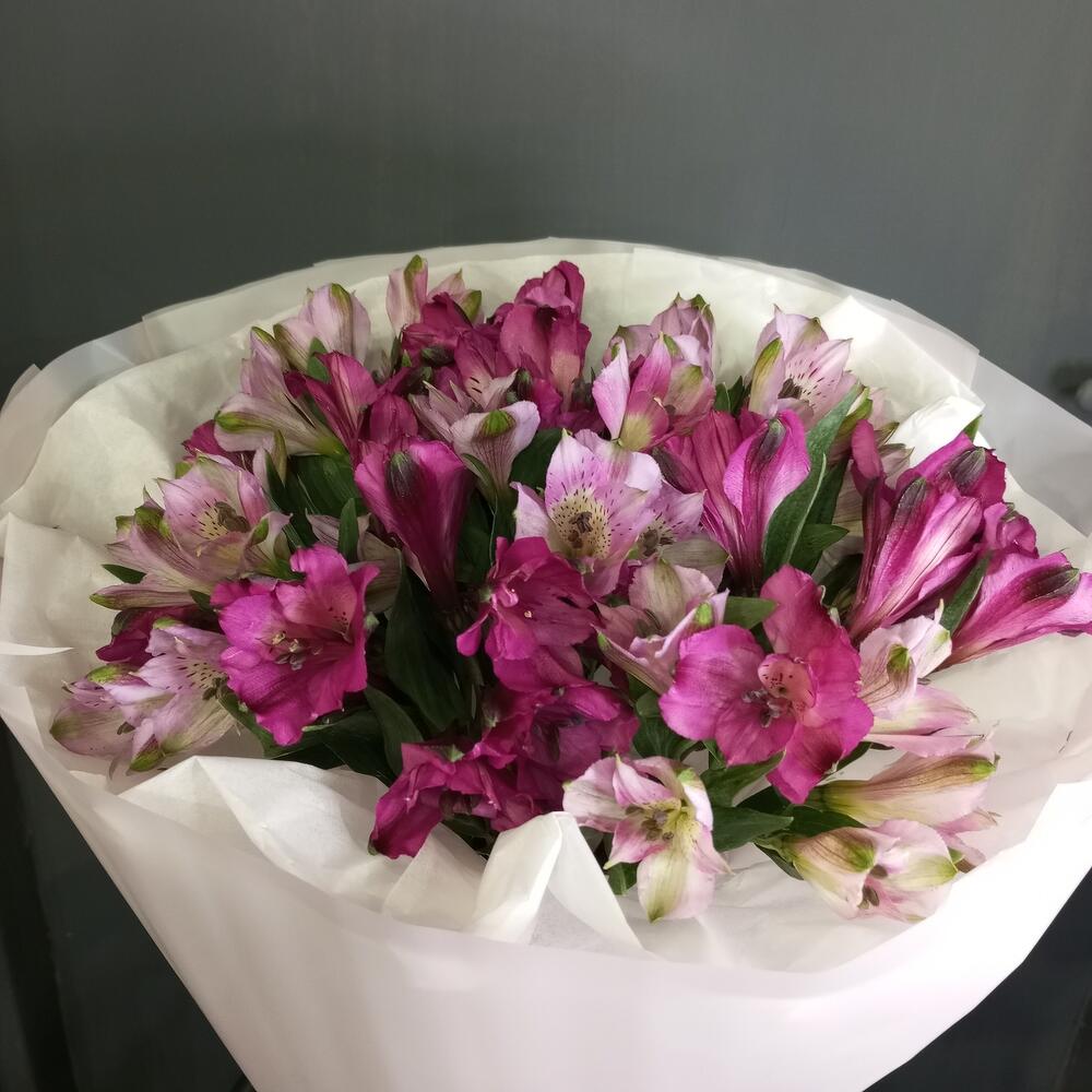 Альстромерия