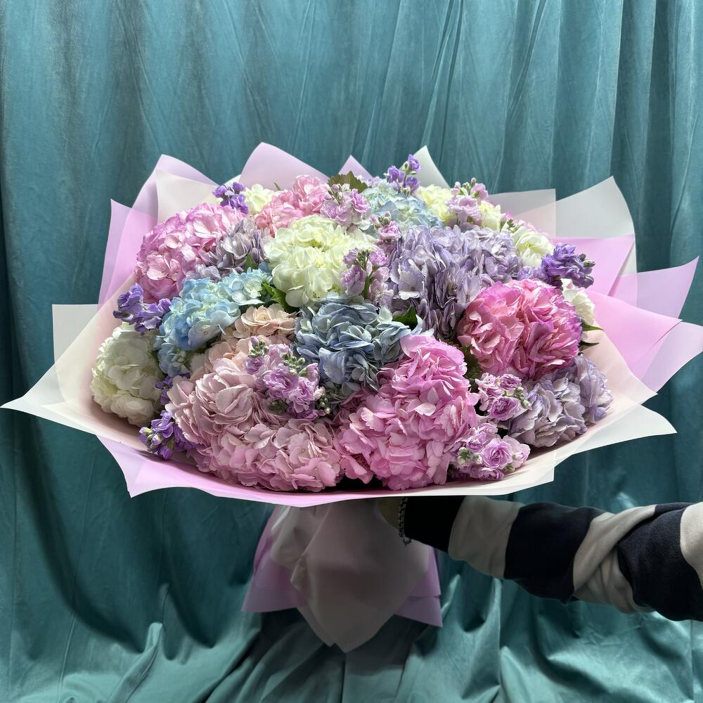 Гортензия микс 🩷🤍💜