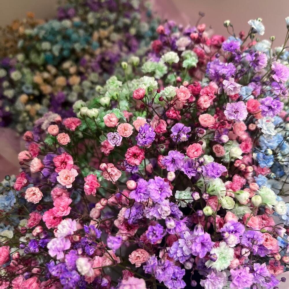 Гипсофилы в сумочке - золотая ручка 🌸