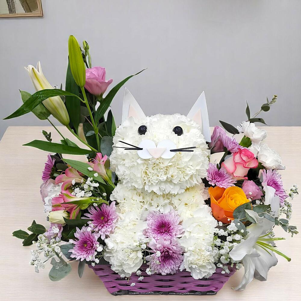 Fresh flower Cat bouquet arrangement, Flowers Sharjah, Sharjah