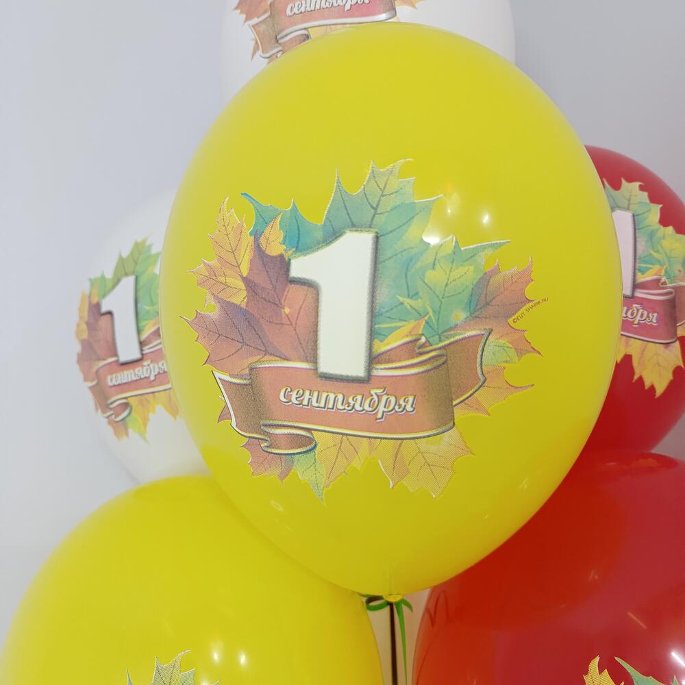 Шары на 1 сентября "Лист клена", 10 шаров