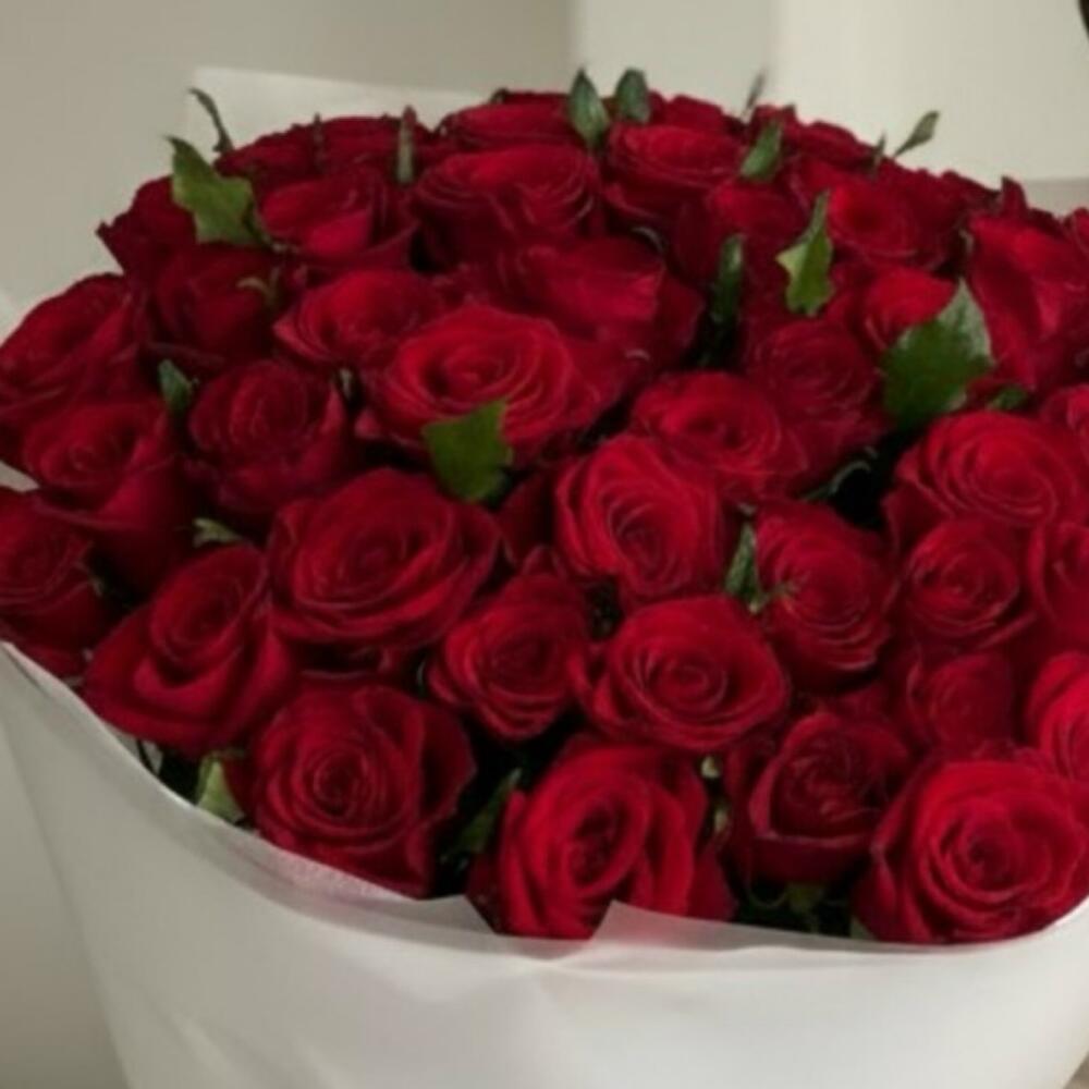 Моно букет из бордовой розы 55шт