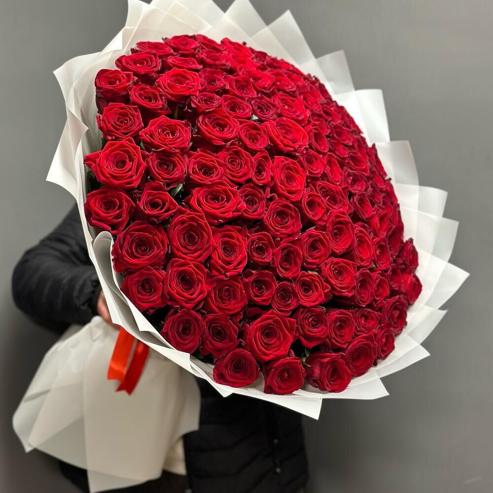 101 Rose Ekvador