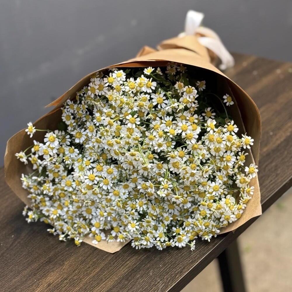 Полевые ромашки