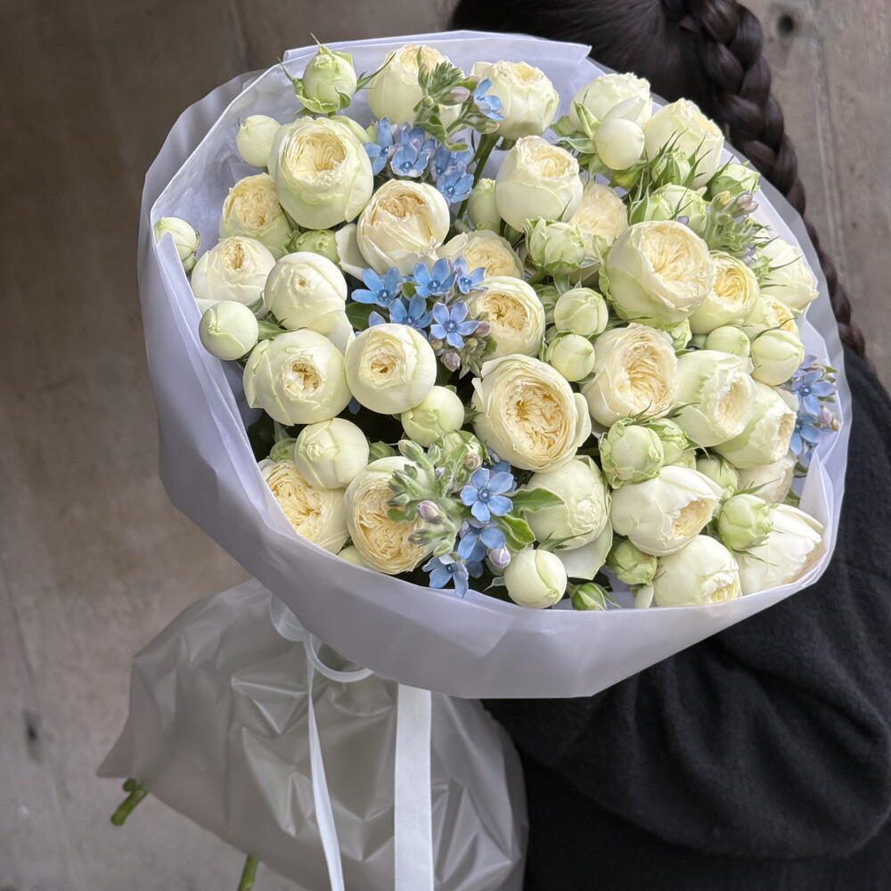 Roses with oxypetalum
