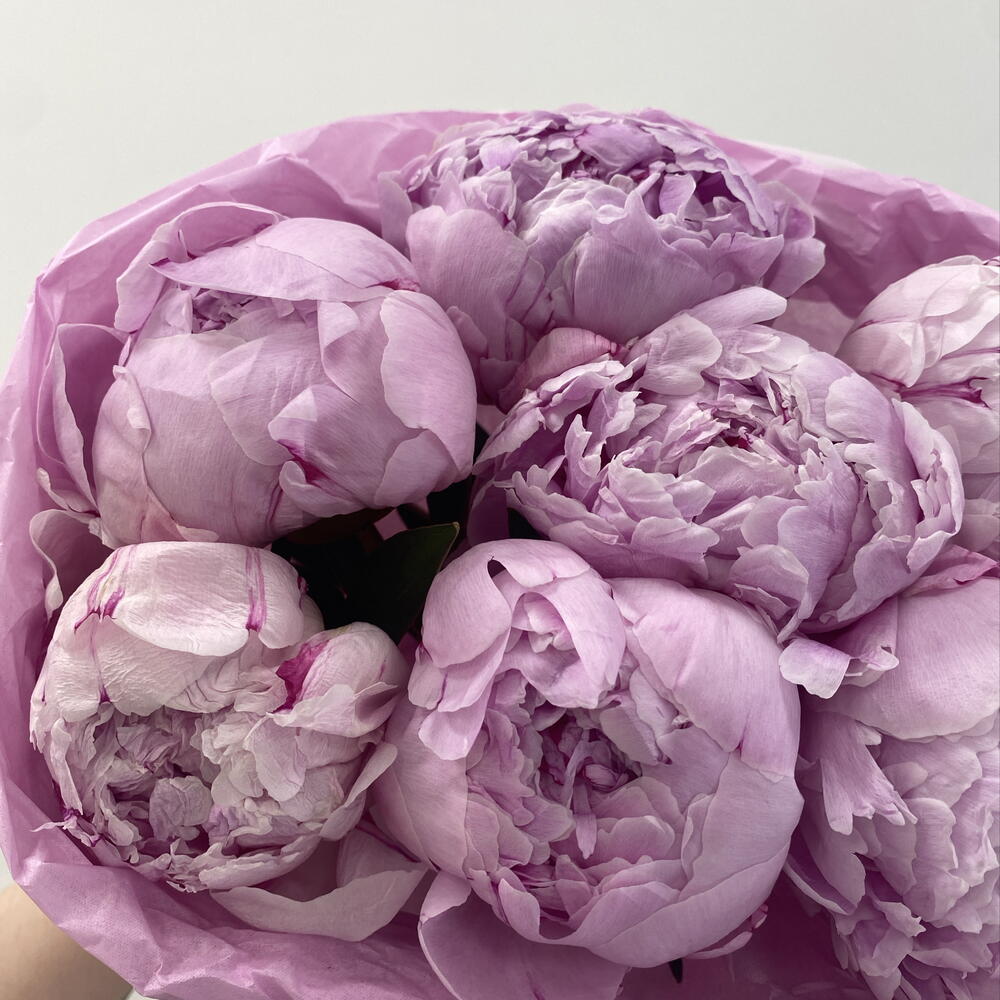 🌸Невероятные пионы в букете Bloom Room