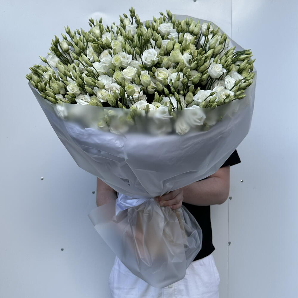41 ГОЛЛАНДСКАЯ ЭУСТОМА