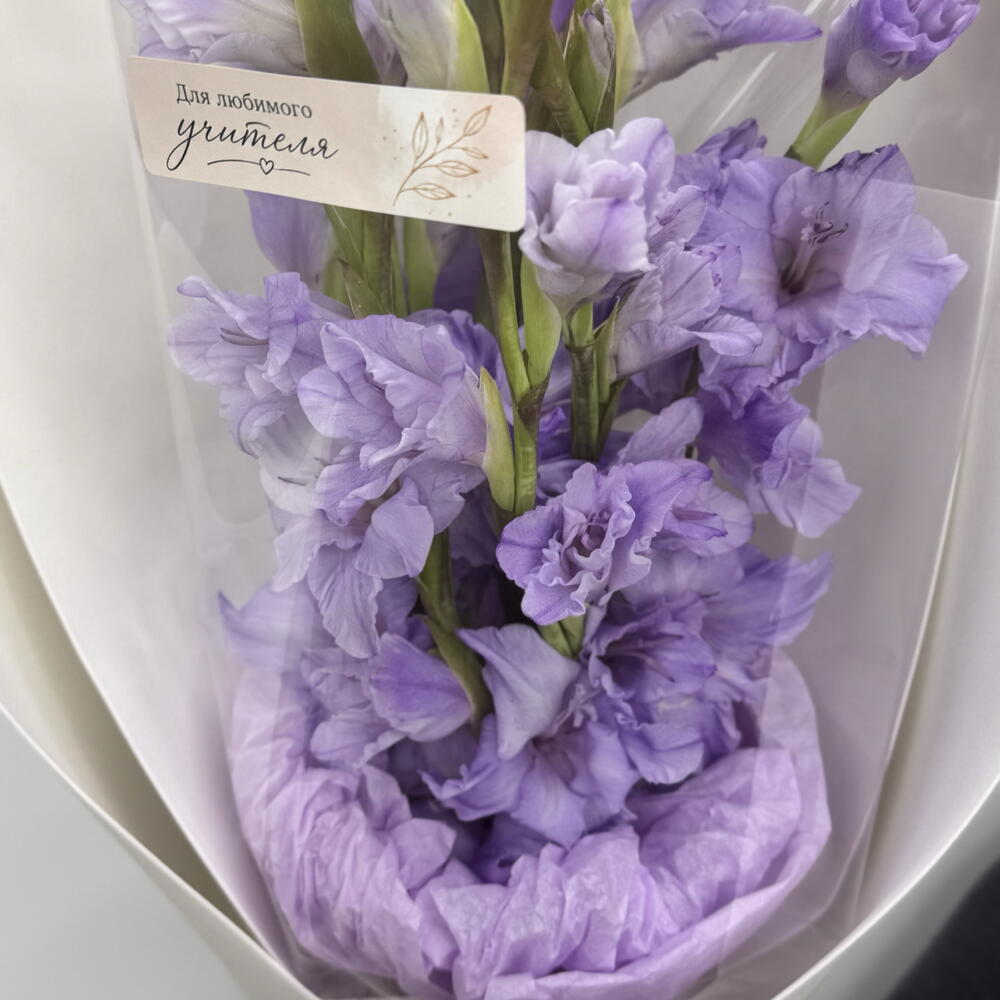 Букет из 7 гладиолусов 💜