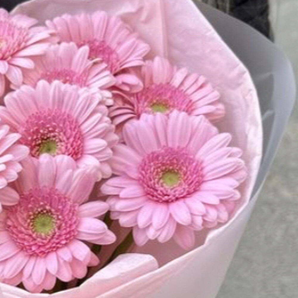 Моно 9 розовых гербер 🎀