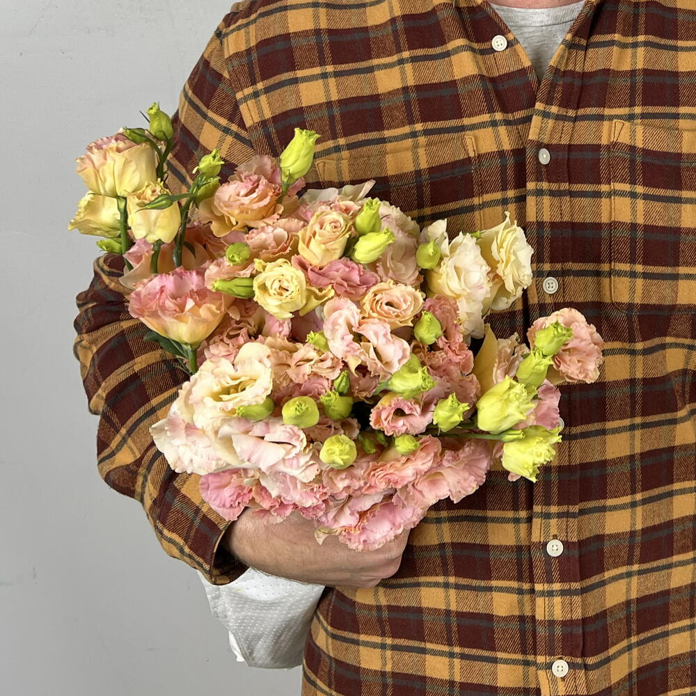 Пачка ( 10 шт ) эустома персиковая Китай