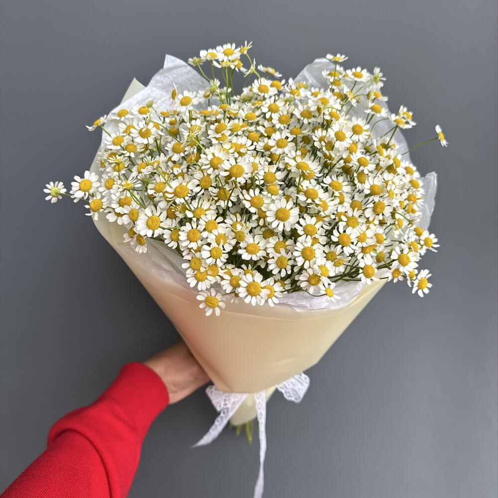 Букет Ромашки
