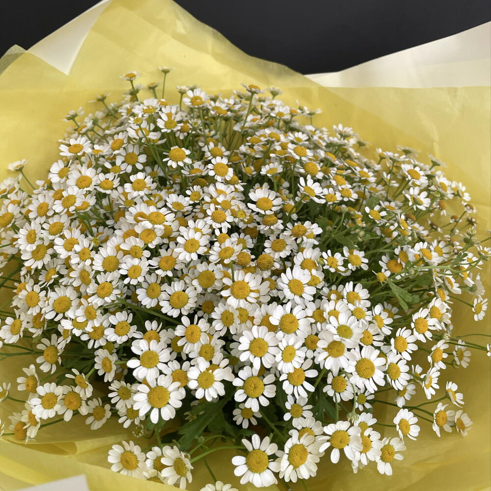 Букет ромашек