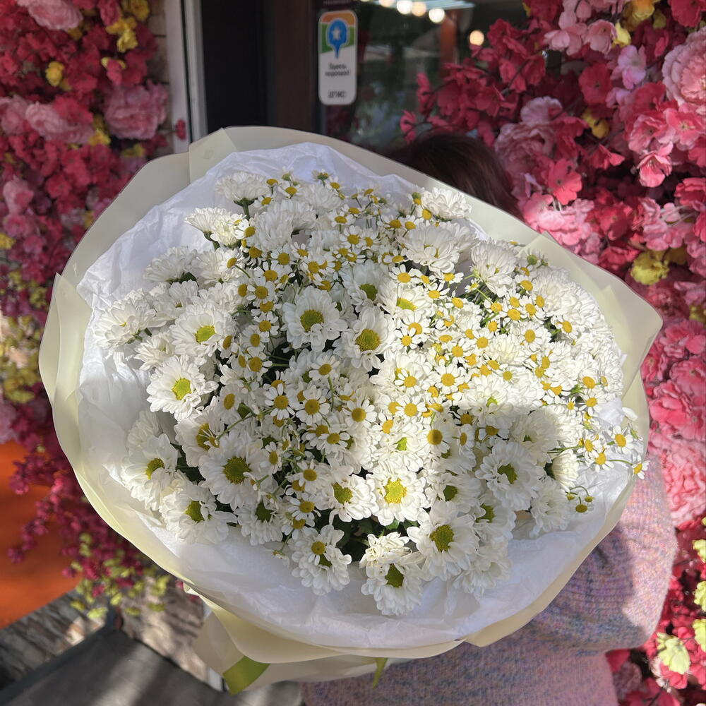 Хризантемы и ромашка🌸
