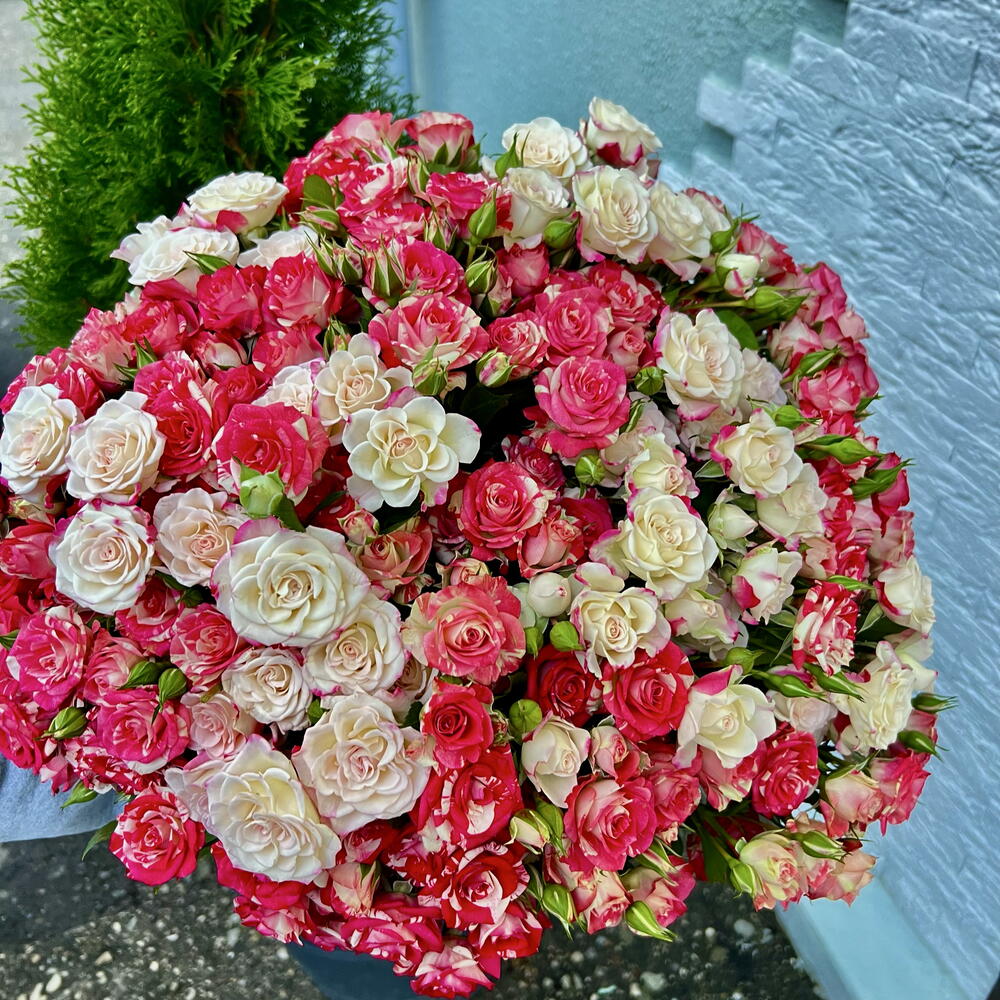 Букет из 35 кустовых роз